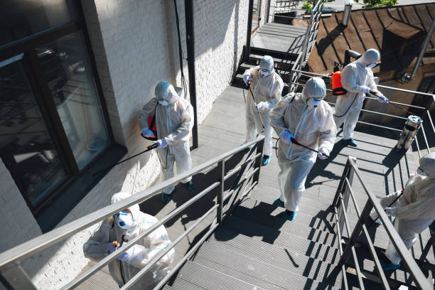 Best Commercial Mold Inspection  in Fort Plain, NY