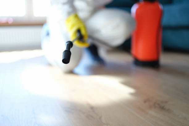 Best Mold Removal for HVAC Installations  in Fort Plain, NY