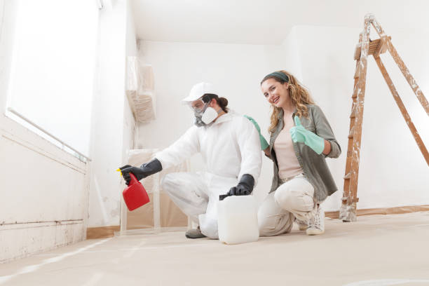 Best Water Damage & Mold Remediation  in Fort Plain, NY