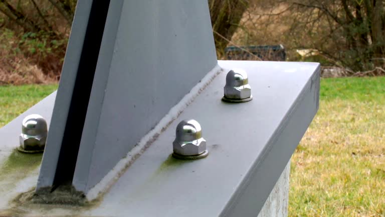 Best Environmental Consulting for Mold Prevention  in Fort Plain, NY
